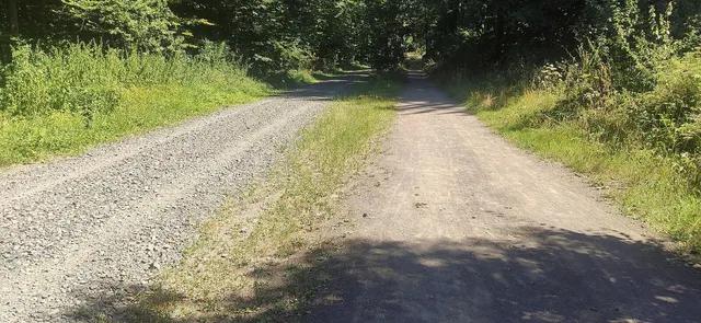 A gravel road beside a field
