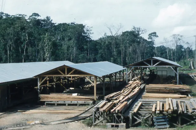 An open-sided sawmill shed